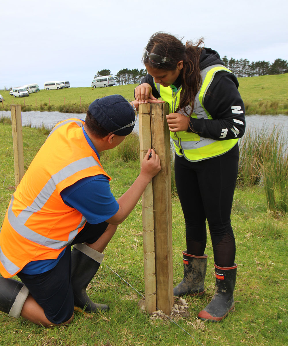 Students marking the posts ensures wires are kept straight.