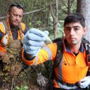 DNA from deer droppings aids eradication plan