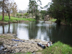 Photo 6: Waipapa Stream at Waipapa Landing Bridge, upstream view. 