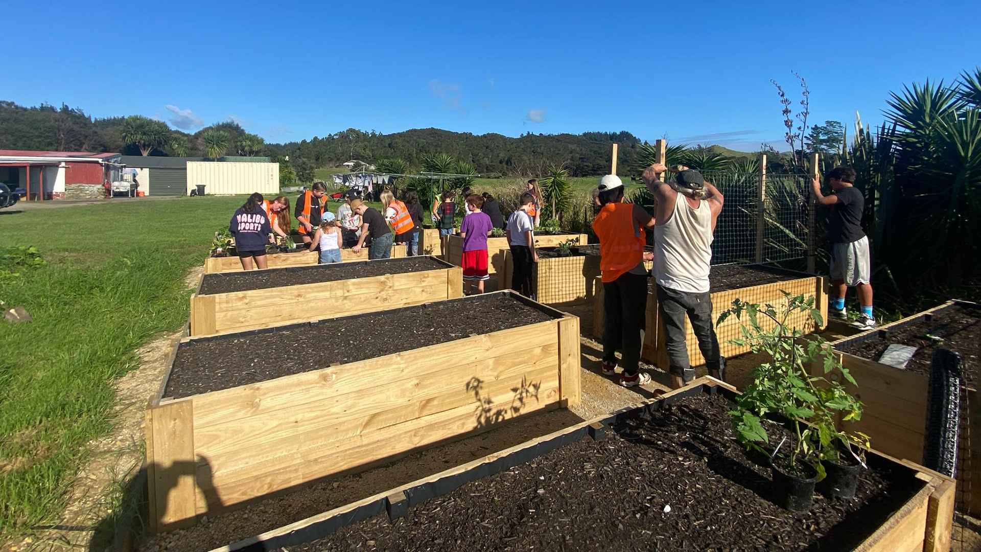 A group of people planting raised garden beds.