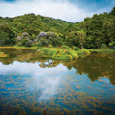 Changes to Freshwater management