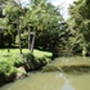 Mangere Stream North’s most improved in NZ River Awards