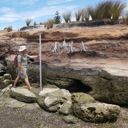 New coastal hazard maps released