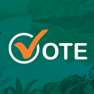 Vote 2025 (1)