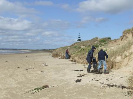 Karikari Peninsula Beach Care Group -Tokerau Beach Clean-up. 