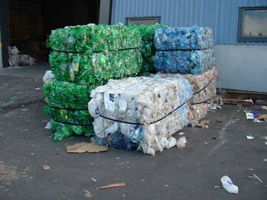 Plastic bottles collected for recycling.