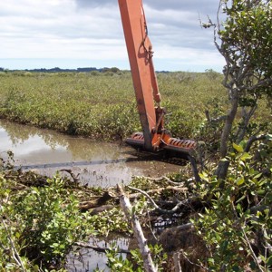 Mangrove Clearance Awanui (S)