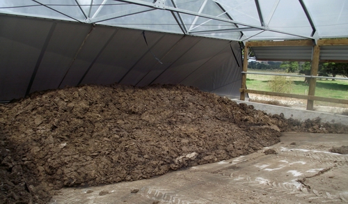 Feedpad with effluent dry-scraped into a bunker.