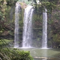Hātea