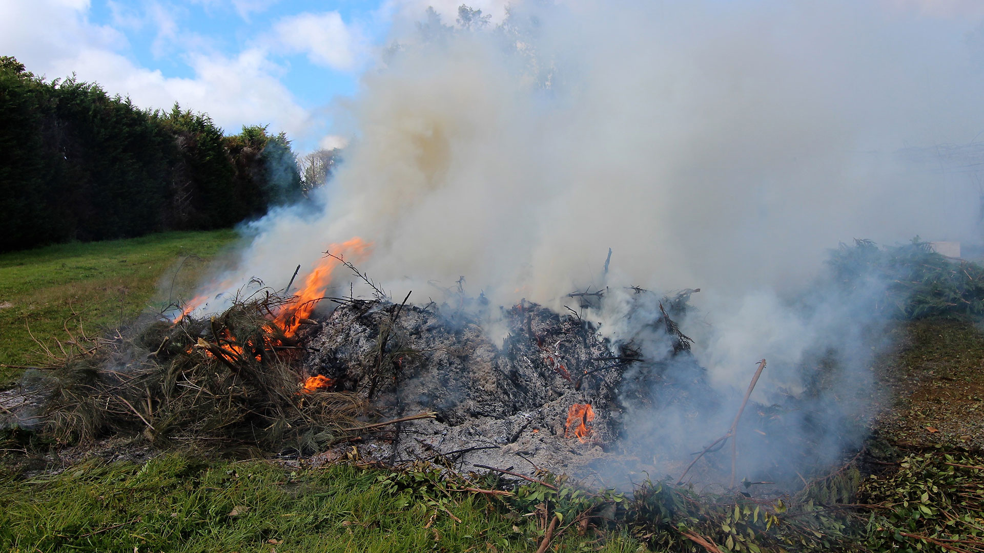 A large pile of burning vegetation with clouds of dirty smoke.