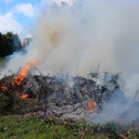 Burning, smoke nuisance complaints dominate