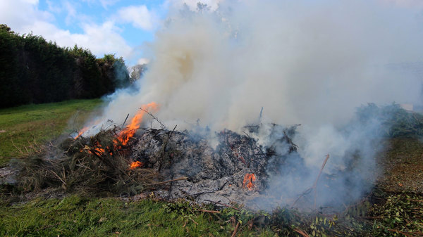 187925 Burning Vegetation Waipapa Media 01 20170915 169