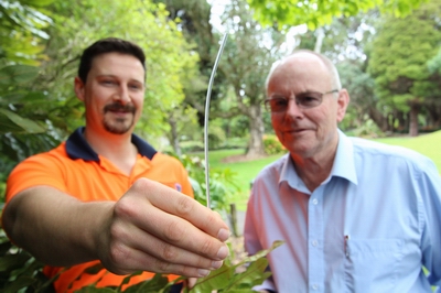 Guava Moth Biocontrol twist tie.