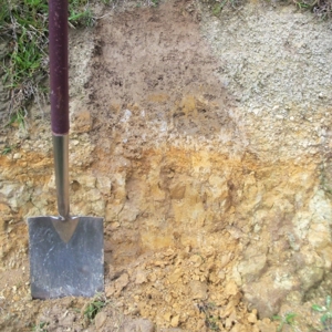 Spade And Soil