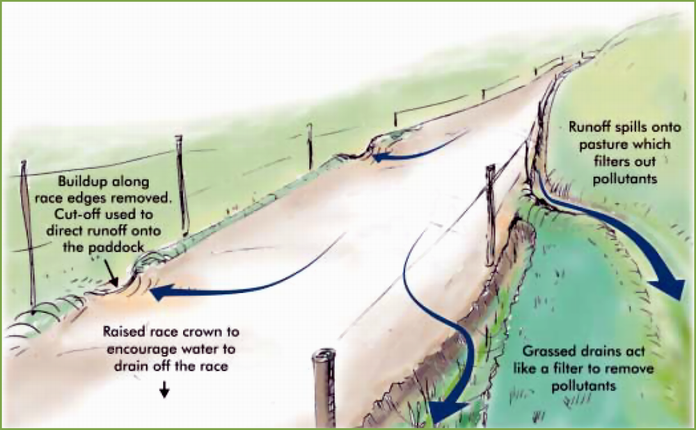 Example of a low-impact farm track. (Image: Waikato Regional Council)