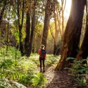 Eight $3000 Tū i te ora Scholarships awarded