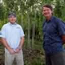 Erosion-controlling poplars, willows available again soon