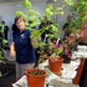 Free pest plant workshops