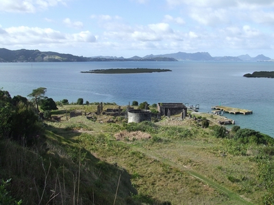 Matakohe Limestone Island