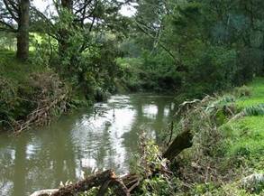 Photo of Mangaharuru Stream