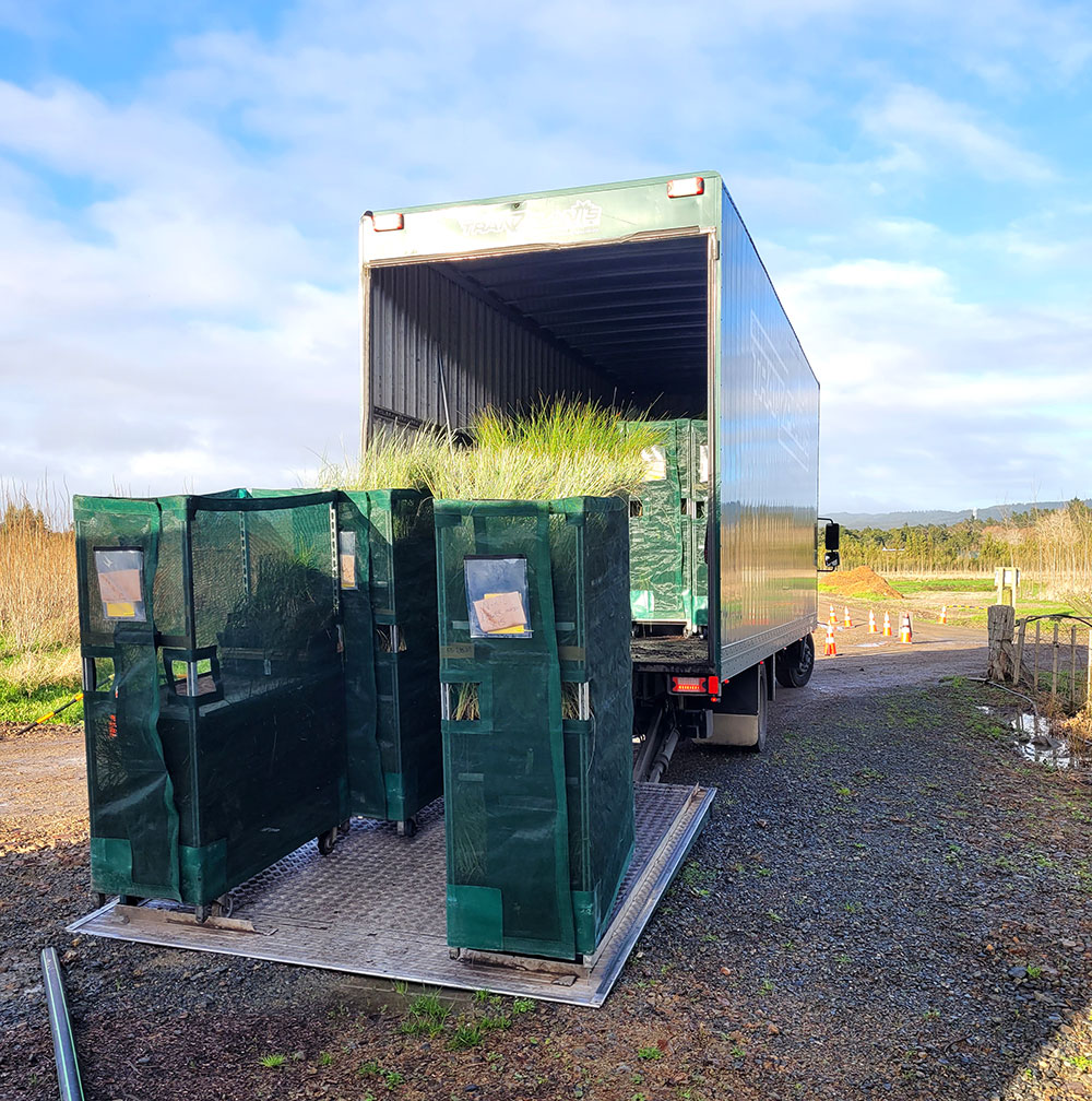 Truck unloading dune plants