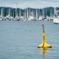 Moorings for sale or rent: listings