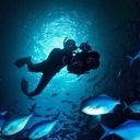 Seaweek - Ocean Fest - 6 March