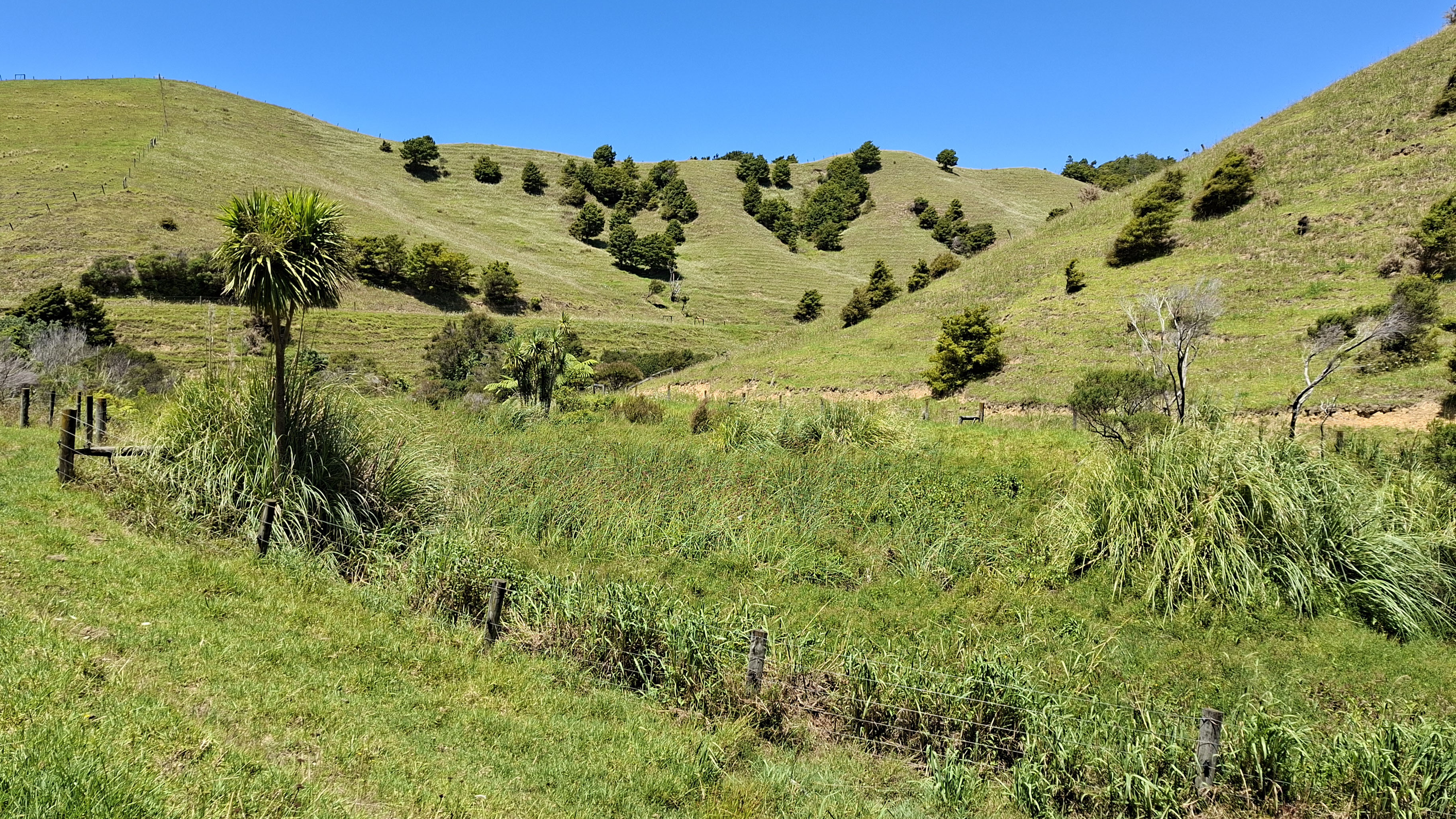 Fenced wetland on farmland with hills and trees in the background.