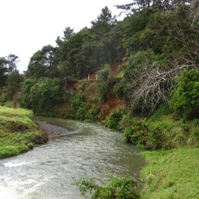 River with vegetation on river bank.