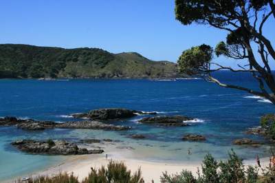 Northland beach (Copyright: Mike Farrow). 