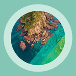 Environmental data hub icon.