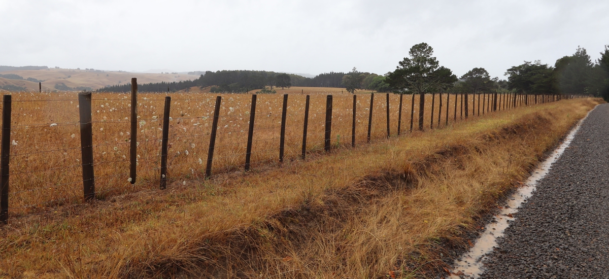 Water collects off the roadside during recent showers in the Far North’s Takou Bay area.