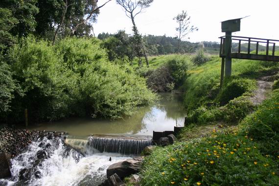 Ruakaka at Flyger Road.