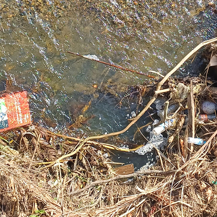 Freshwater Litter  S 