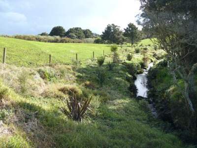 Description: Farm stream fenced and planted. 