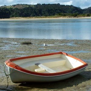 Ngunguru Estuary (400)