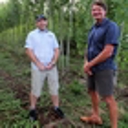 Order now to secure poplar and willow poles; NRC