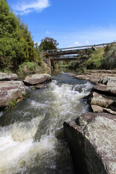 Stream Kerikeri.