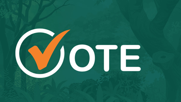 Vote 2025 Wide