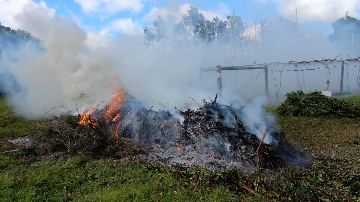 Burning vegetation causing thick smoke.