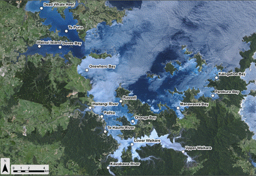 Description: Figure 91: Location of sediment sampling sites in Bay of Islands in 2010. 