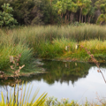 Wetlands booklets and factsheets