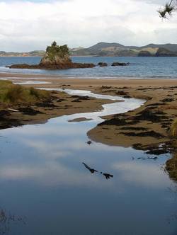 Wellington Bay.