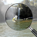 Recreational swimming programme