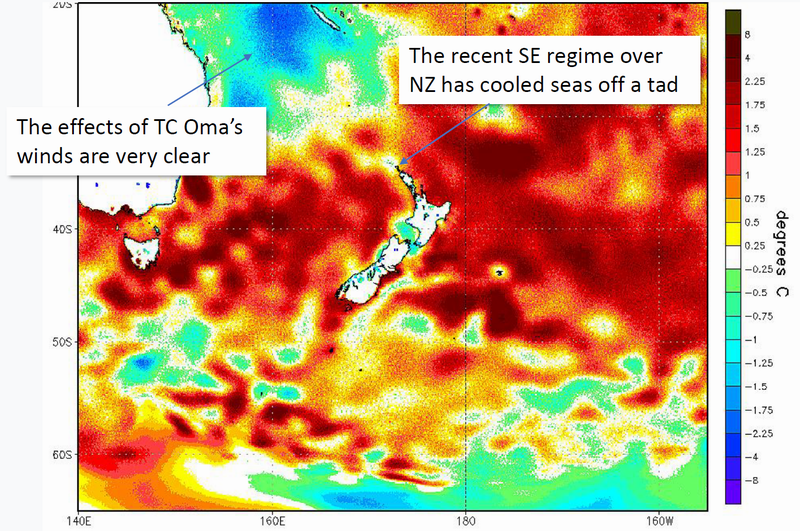 Sea surface temperature heat map.