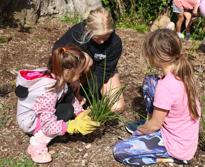 Children planting trees and plants outside.