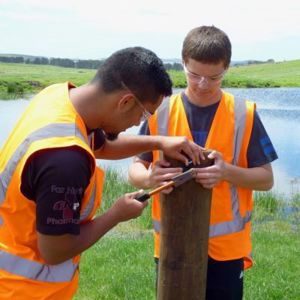 20191017 Enviroschools Waifencing Rangiputa 3 (S) (400)