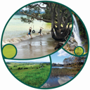 Updated Proposed Regional Plan for Northland publicly notified