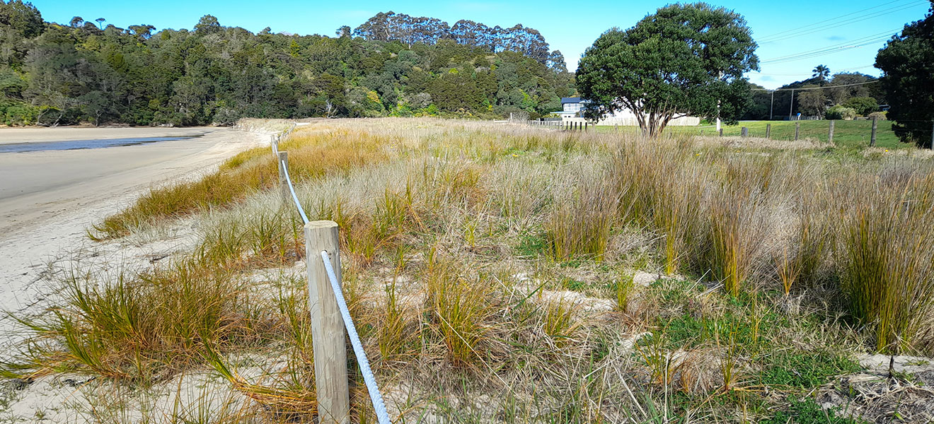 Matapouri Beach.