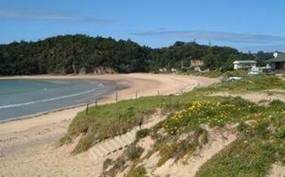 Matapouri Beach before restoration work.